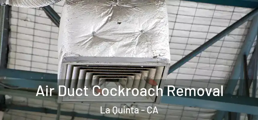 Air Duct Cockroach Removal La Quinta - CA