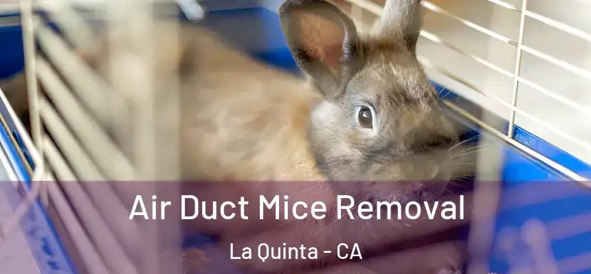 Air Duct Mice Removal La Quinta - CA