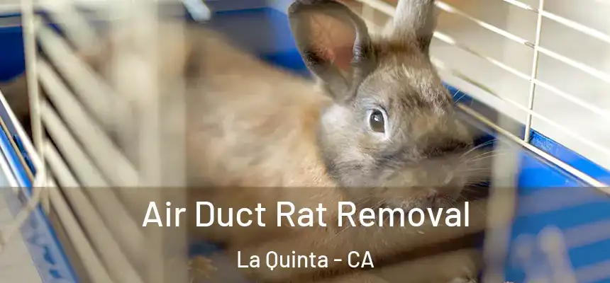 Air Duct Rat Removal La Quinta - CA