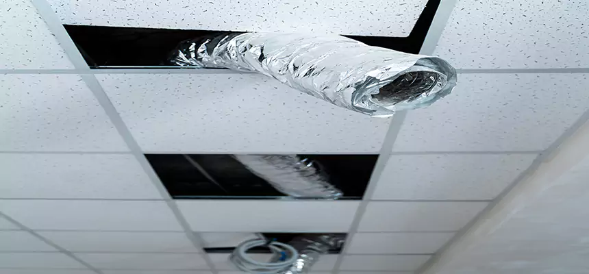 Our Air Duct Pet Hair Removal Services in La Quinta, CA