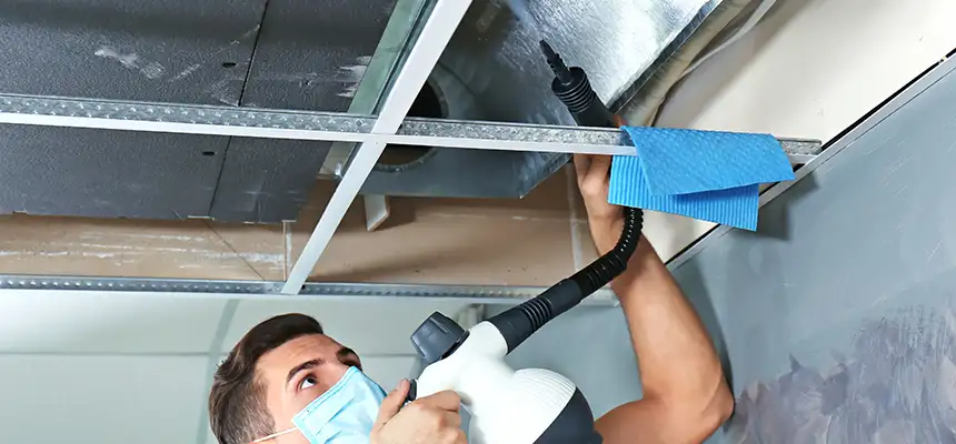 Our Air Duct Rodent Removal Services in La Quinta, CA