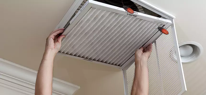 Our Insect Removal from Air Ducts Services in La Quinta, CA