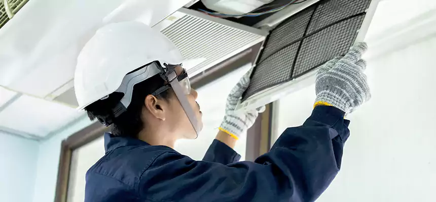 Our Mold & Mildew Removal from Air Ducts Services in La Quinta, CA