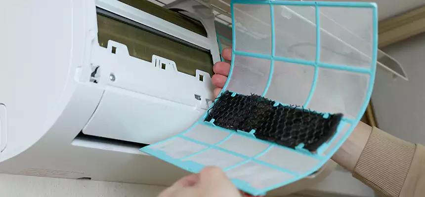 Gentle Ductwork Odor-Control Pet Dander Duct Cleaning in La Quinta, CA