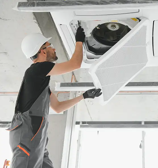 About Air Duct Rodent Removal in La Quinta, CA