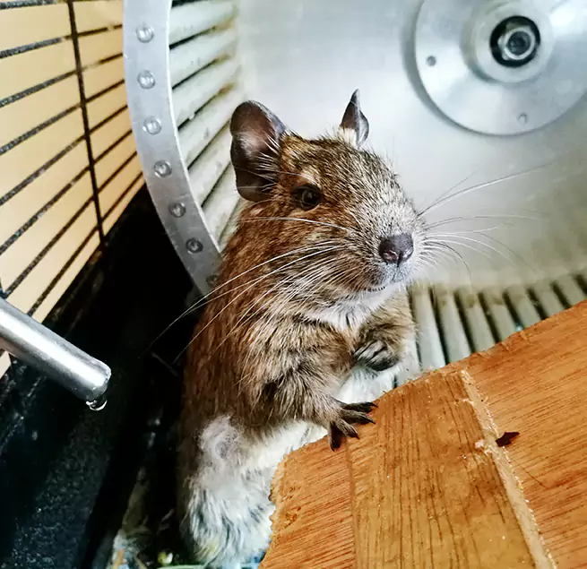 Why Homeowners & Businesses Trust Us La Quinta, CA