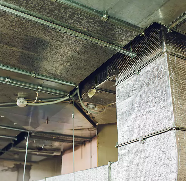 Why Homeowners & Businesses Trust Us in La Quinta, CA?